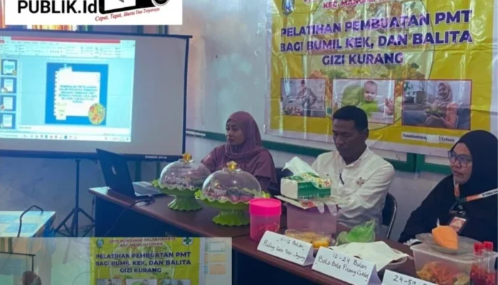 Pembinaan Nakes,Tenaga Kesehatan dan PKK Desa Se Kecamatan Mangoli Utara, Fokus Penurunan Stunting dengan PMT